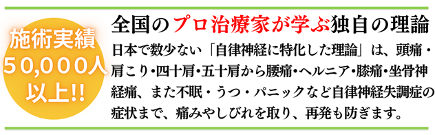 整体、施術実績